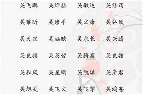 吳取名|吳姓寓意好的男孩名字（精選200個）